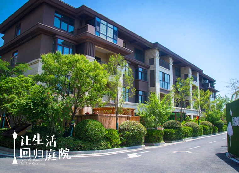 前后张望南阳50年：这样的庭院，，，，，，，很难再有了！