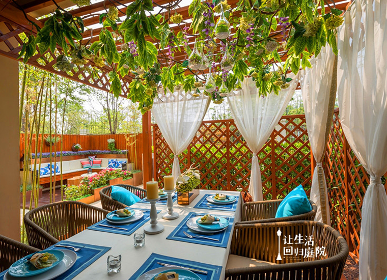 前后张望南阳50年：这样的庭院，，，，，，，很难再有了！