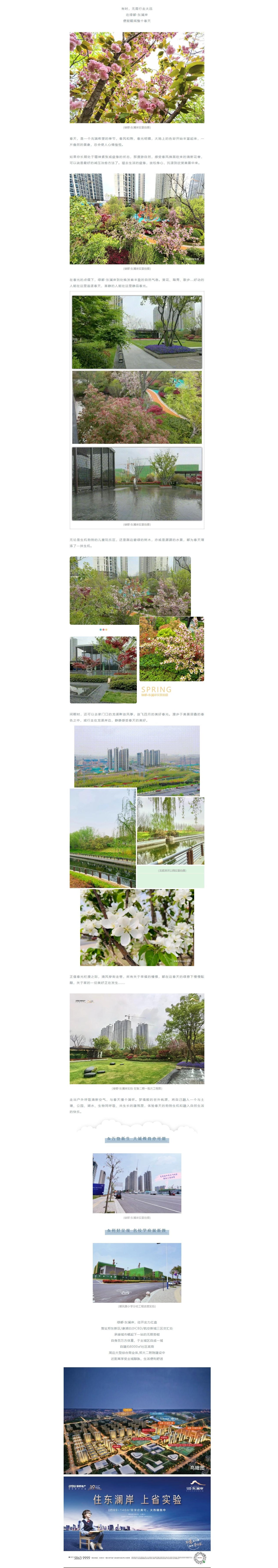 赏花踏青，，，，，来一场和春天的约会