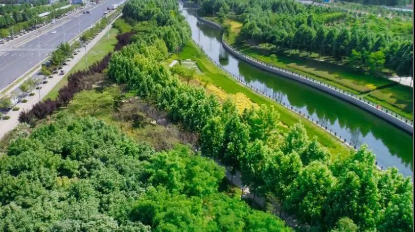 定了！“神兽”线上开学，，，，，，家里有学生的必看！